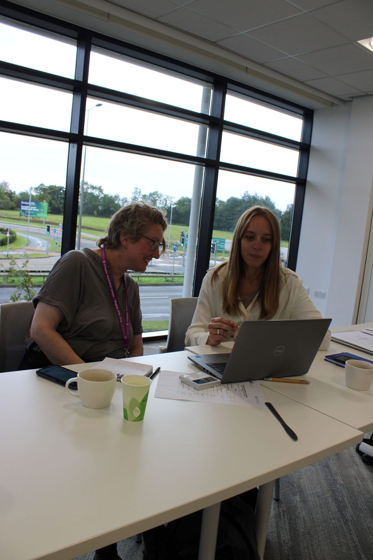 SVE team collaborating with a client